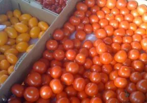 Celebrate National Farmers Market Week
