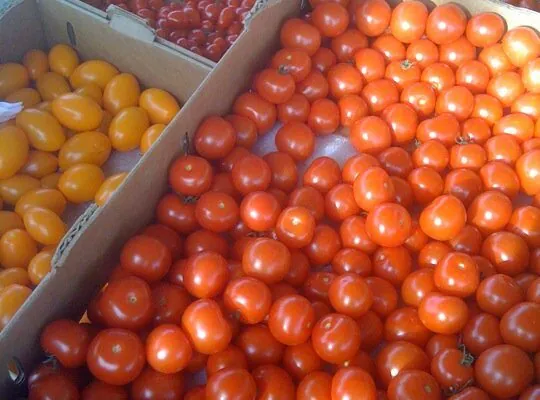 Celebrate National Farmers Market Week