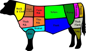 These are the common British cuts of beef. Bas...