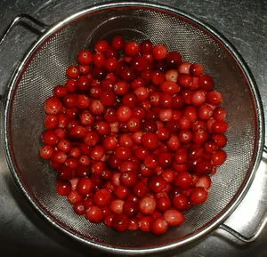 Colander