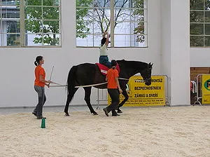 Therapeutic horseback riding on the Medical fa...