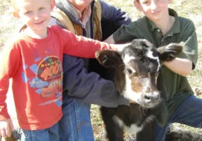 Mortimer Family Farms Brings Back The Pumpkins!