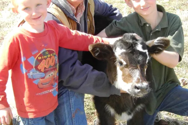 Mortimer Family Farms Brings Back The Pumpkins!