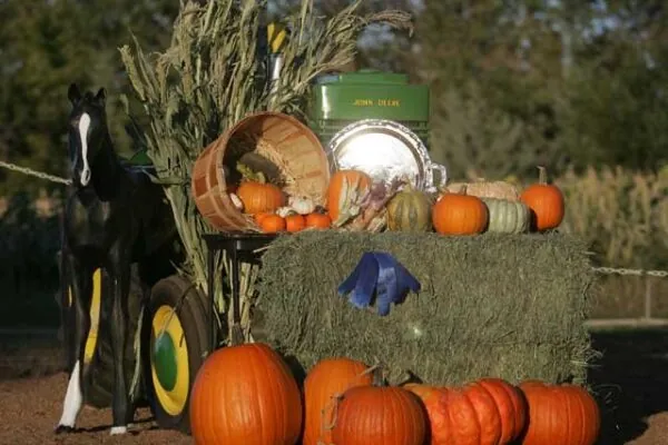 Annual Pumpkin Festival Joins Forces with Arizona Fish and Game for Family Event