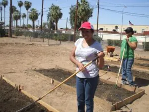 Community gardening makes a comeback in the Arizona desert Community gardening makes a comeback in the Arizona desert