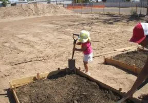 Community Gardens Growing In Popularity in Arizona Desert