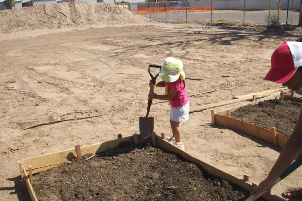 Community Gardens Growing In Popularity in Arizona Desert