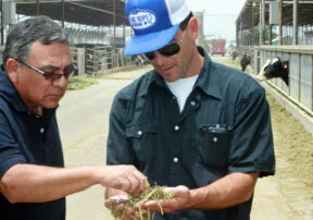 Producing Milk is More Than Just Milking Cows
