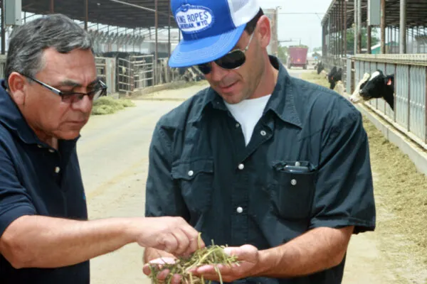Producing Milk is More Than Just Milking Cows