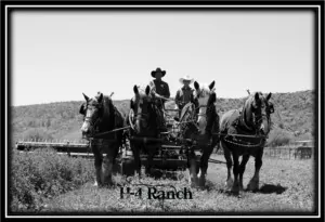 H-4 Ranch harnessing clinic H-4 Ranch harnessing clinic