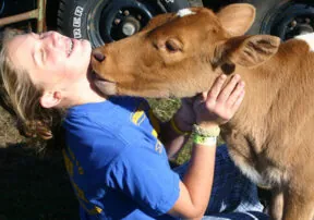 Fall in Love All Over Again this February…with Beef