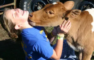 Fall In Love with Beef