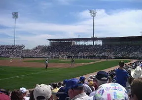 Play Ball!! Pack a Picnic for Spring Training