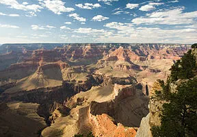 Interesting Information about Arizona Agriculture