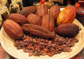 Public-Private Partnership Will Improve Cocoa Production