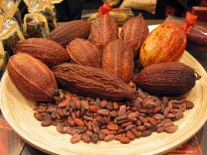 Cocoa Pods and Cocoa Beans