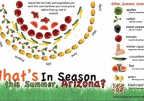 AZ Produce in Season-Summer