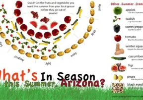 What’s in Season During an Arizona Summer?