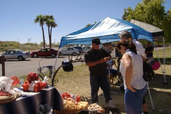 It’s National Farmer’s Market Week – Let’s Go Shopping