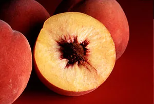 English: Autumn Red peach. Français : Pêches E... English: Autumn Red peach. Français : Pêches E...