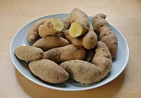 Potato Industry Ponders Possible Bumper Crop