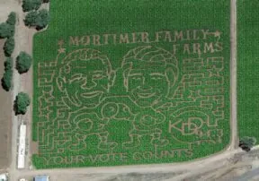 Get Lost! The Mortimer’s Corn Maze Opens October 5th!