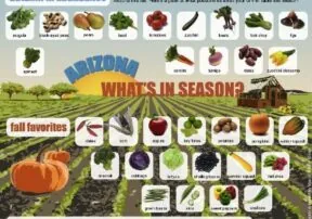 What’s in Season in Arizona This Fall?