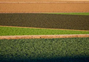 America’s Heartland Episode Features Yuma’s Winter Lettuce Production