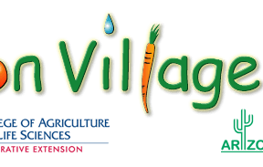 Tucson Village Farm Shows School Children How Vegetables Grow