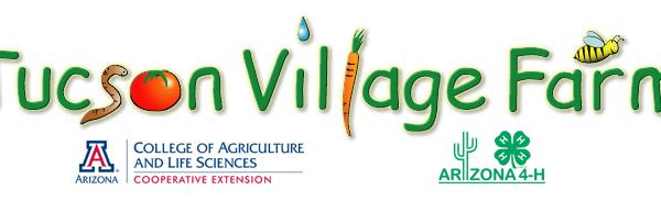 Tucson Village Farm Shows School Children How Vegetables Grow