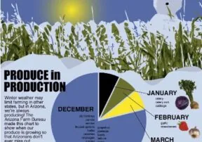What’s in Season in Arizona This Winter?