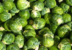 What’s in Season in February?
