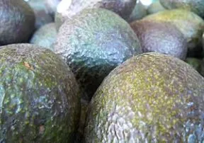 All About Avocados