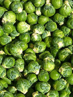 What’s in Season in March?