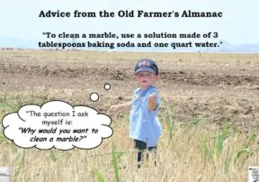 Focus on Arizona Agriculture: Why Clean a Marble?