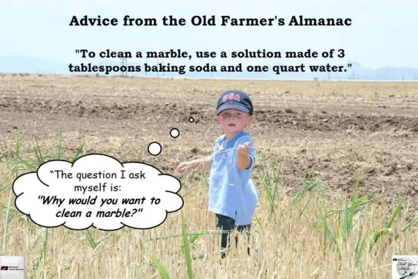 Focus on Arizona Agriculture: Why Clean a Marble?