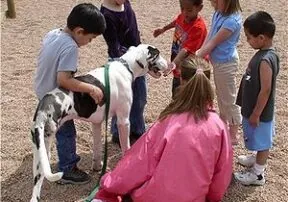 2013 Dine With Your Dog