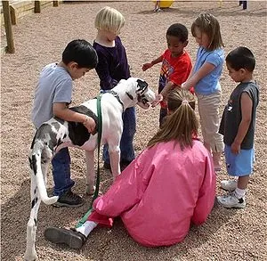 Work of a therapy dog: Stella visited her fost... Work of a therapy dog: Stella visited her fost...
