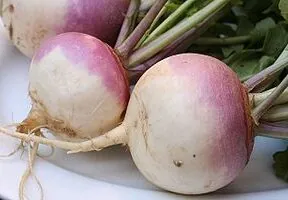 Don’t Miss Out on the Root Vegetable Renaissance