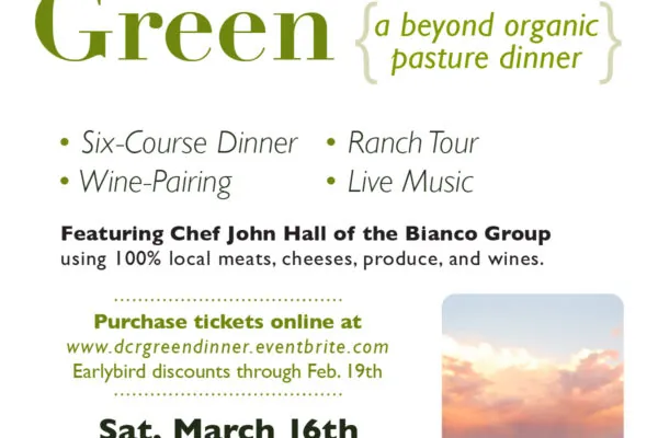 Celebrating Green at Double Check Ranch