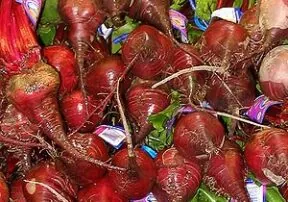 What’s in Season in May?