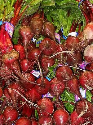 What’s in Season in May?