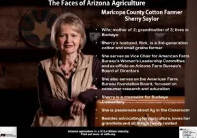 Faces of Arizona Agriculture: Sherry Saylor