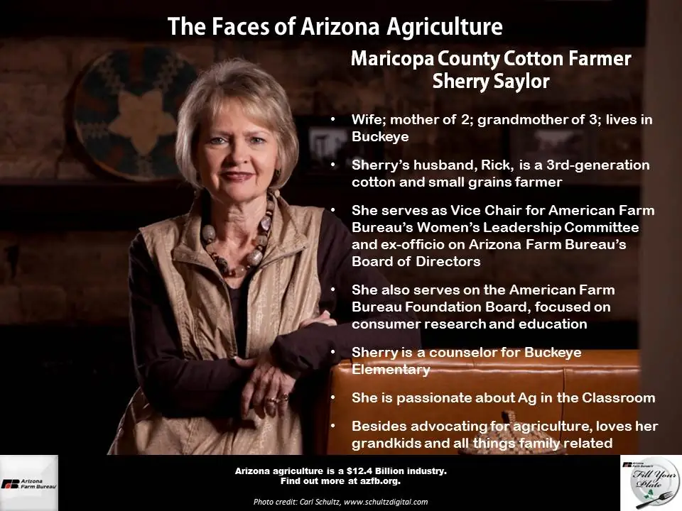 Sherry Saylor