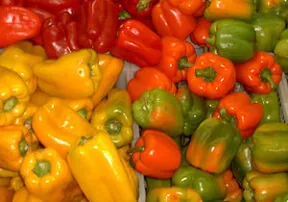 Everything You Always Wanted to Know about Bell Peppers