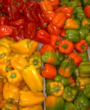 Assorted bell pepper fruits from Mexico Assorted bell pepper fruits from Mexico