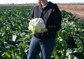 Ask a Farmer: Starting a Family Garden