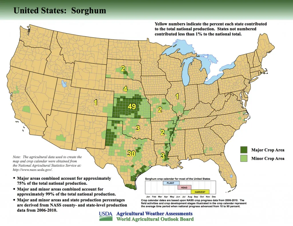 US_Sorghum