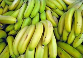 Farmer Q&A With Nicholas Larsen, Banana Grower and Farm Bureau Member in Florida