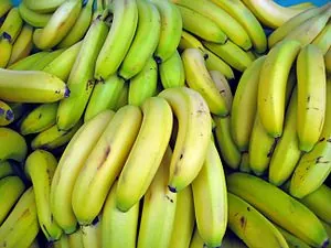 Bananas Bananas